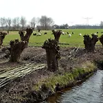 شقة Weibos Camperplaats Schijndel