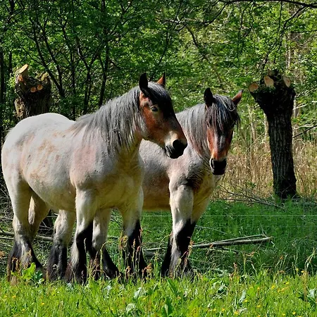 Apartmán Weibos Camperplaats