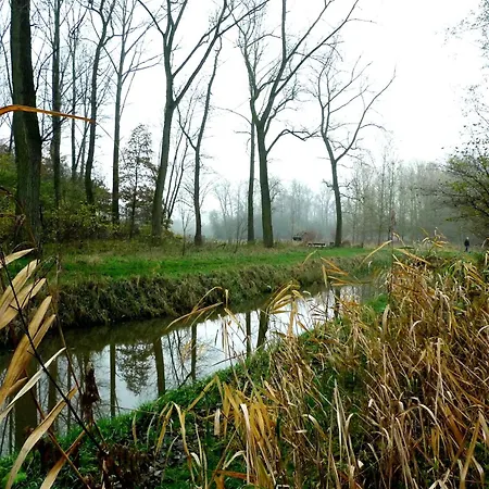 Weibos B&B Camperplaats Daire Schijndel