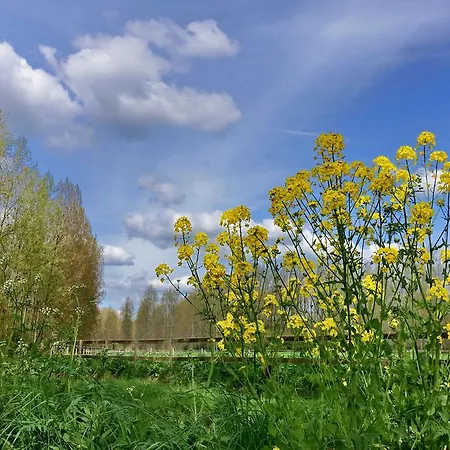 Weibos Camperplaats Apartmán Schijndel