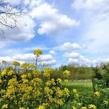 Weibos Camperplaats Apartmán