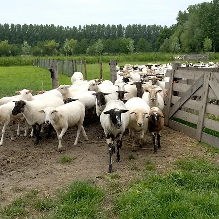 Apartmán Weibos Camperplaats