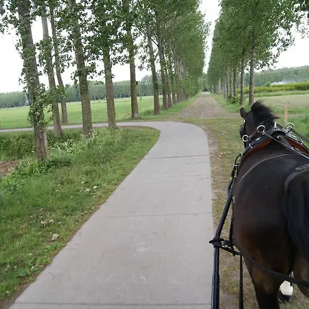 Weibos Camperplaats Apartmán Schijndel