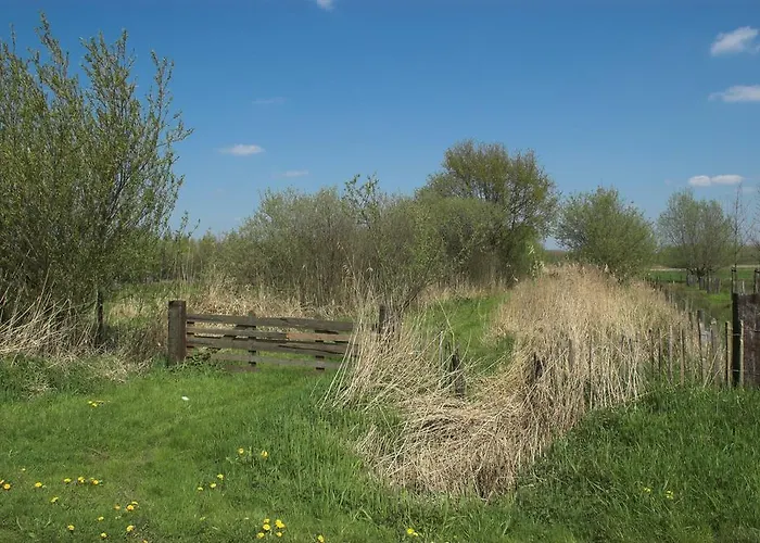 Weibos B&B Camperplaats Daire