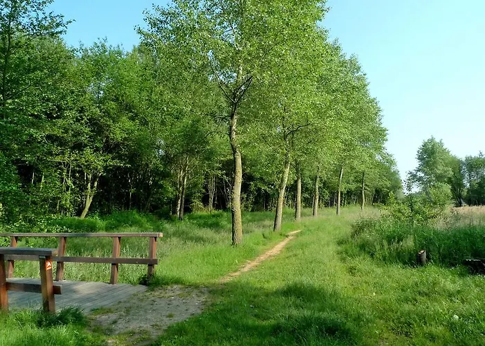 Daire Weibos B&B Camperplaats *