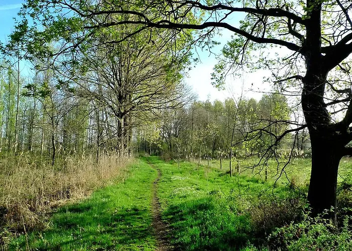 Weibos B&B Camperplaats Daire *