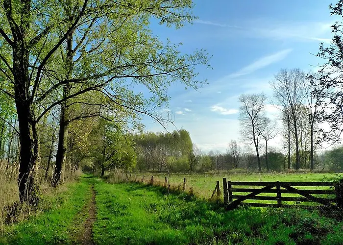 Weibos B&B Camperplaats * Schijndel