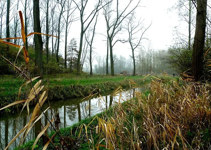 Weibos B&B Camperplaats Daire Schijndel