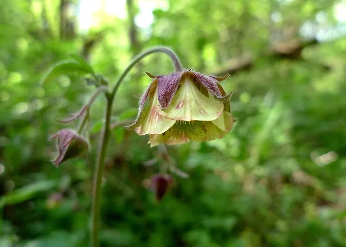 Weibos B&B Camperplaats Schijndel