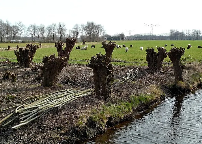 Apartment Weibos B&B Camperplaats Schijndel