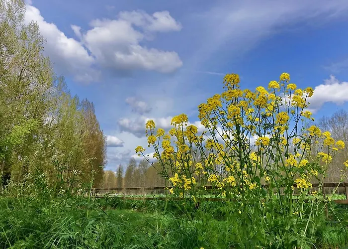 Weibos B&B Camperplaats Daire Schijndel