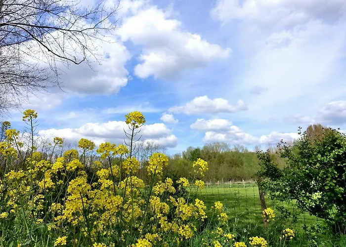 Weibos B&B Camperplaats Daire