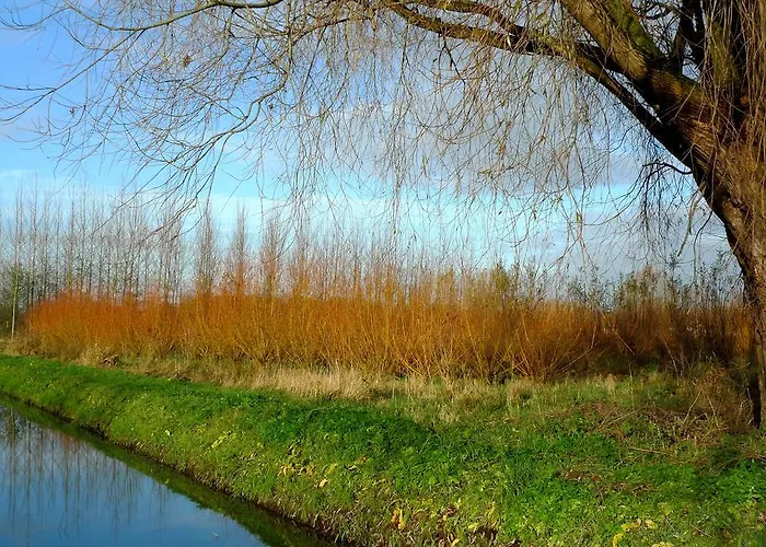 Weibos B&B Camperplaats