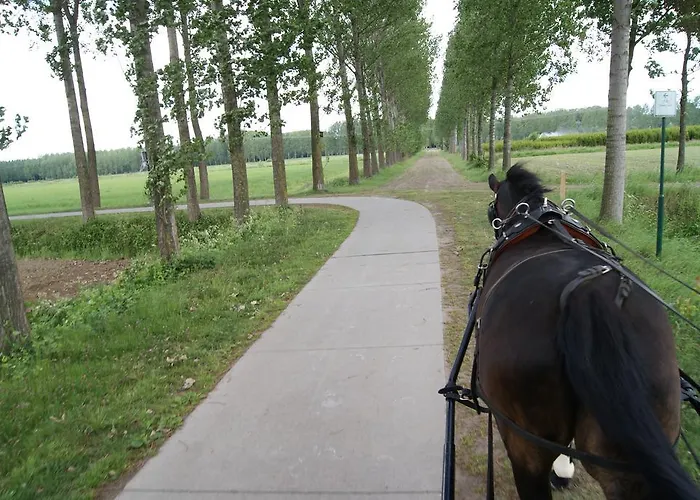 Weibos B&B Camperplaats Daire Schijndel