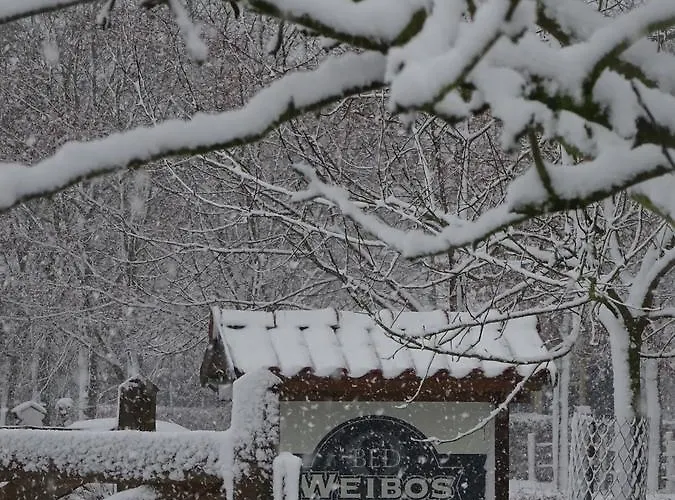 Daire Weibos B&B Camperplaats Schijndel