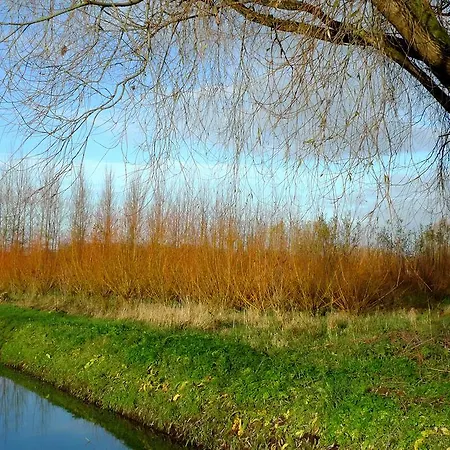 Weibos Camperplaats